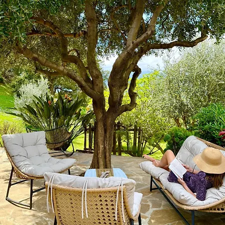 Bed & Breakfast Carpediem_corsica Poggio-d'Oletta